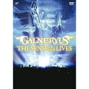 DVD / GALNERYUS / THE SENSE OF OUR LIVES (本編ディスク+特典ディスク) / VPBQ-19097