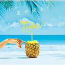 CD / TUBE / 夏が来る! (通常盤) / AICL-3553(2)