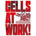 BD / TVアニメ / はたらく細胞 Vol.1(Blu-ray) (Blu-ray+CD) (完全生産限定版) / ANZX-14701