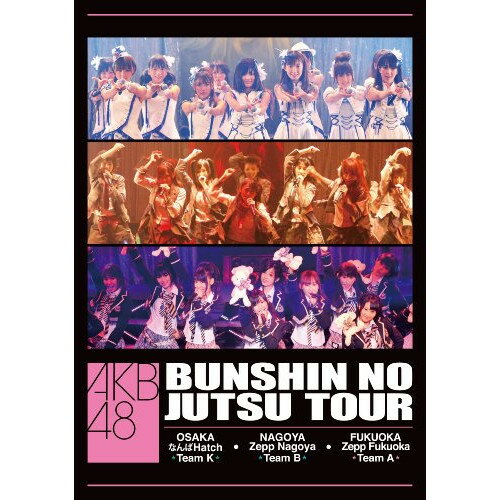 DVD / AKB48 / AKB48 分身の術ツアー DVD / AKB-D2028