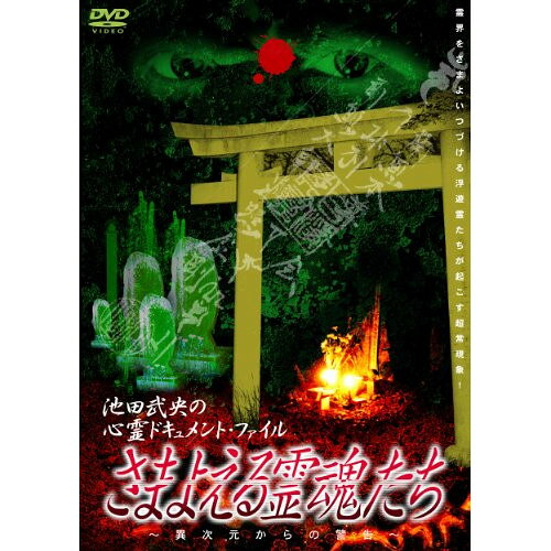 楽天市場】さまよえる脳髄（DVD｜CD・DVD）の通販