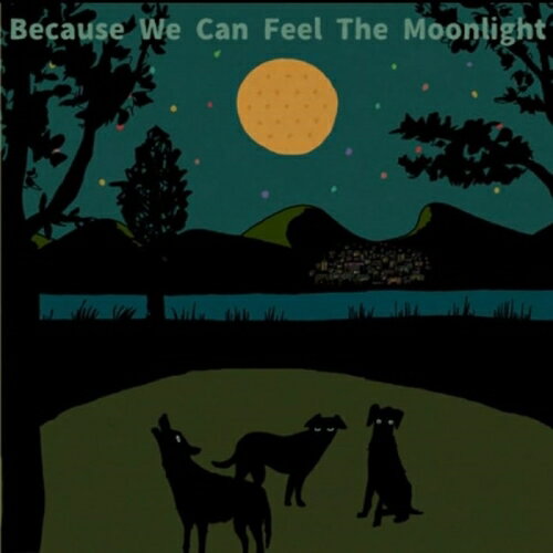 【取寄商品】CD / ビコーズ・ウィ・キャン・フィール・ザ・ムーンライト / Because We Can Feel The Moonlight / BSMF-1070[11/10]発売