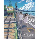 劇場編集版 かくしごと -ひめごとはなんですか-(Blu-ray)劇場アニメ久米田康治、神谷浩史、高橋李依、花江夏樹、村野佑太、山本周平、橋本由香利　発売日 : 2021年10月29日　種別 : BD　JAN : 4580055353673　商品番号 : EYXA-13367