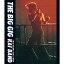 BD / Х / THE BIG GIG(Blu-ray) / UPXY-6044