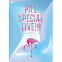 DVD / Pile / Pile SPECIAL LIVE!!!「P.S.ありがとう...」at TOKYO DOME CITY HALL / VIBL-82...