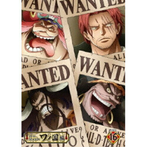 DVD / TV 애니메이션 / ONE PIECE 원피스 20TH 시즌 와노 국편 PIECE.16 / EYBA-13337