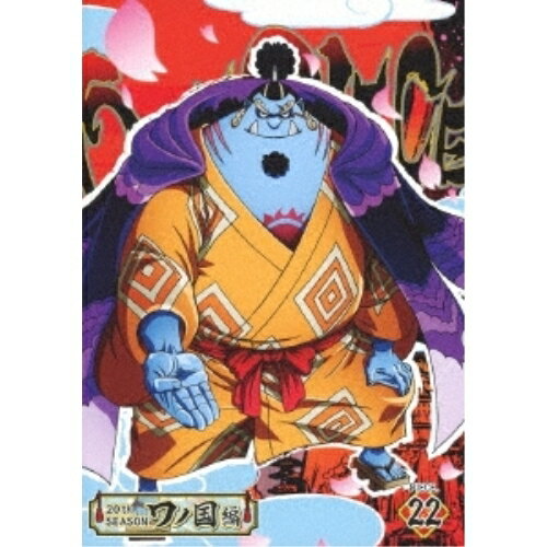 DVD / TV 애니메이션 / ONE PIECE 원피스 20TH 시즌 와노 국편 PIECE.22 / EYBA-13486