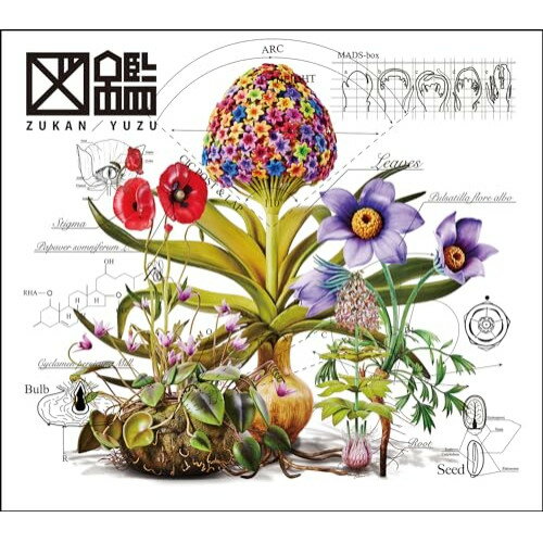 樂天商城 - CD / ゆず / 図鑑 (CD+Blu-ray) (初回生産限定盤) / TFCC-81087