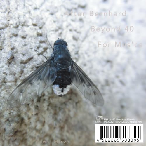 ڼʡCD / slown Mason / KALINE20EDYRK23 After Bernhard Beyond 40 For ...