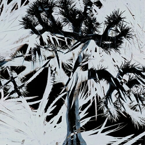 CD / Plastic Tree / Plastic Tree (歌詞付) (通常盤) / VICL-65965