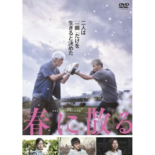 【取寄商品】DVD / 邦画 / 春に散る スタンダード・エディション / GADS-2716