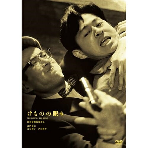 【取寄商品】DVD / 邦画 / 暗黒の旅券 / HPBN-604