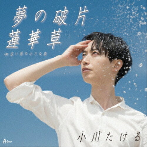 CD / 小川たける / 夢の破片/蓮華草 C/W 古い街の小さな恋 (メロ譜付) / YZWG-15329