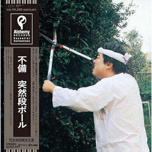 LP(30cm) / 突然段ボール / 不備 (初回完全限定生産盤) / ALPLP-24