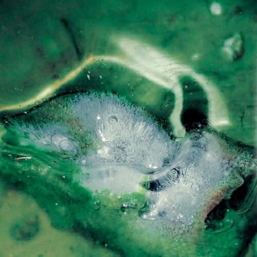 【取寄商品】CD / Tristan Arp / a pool, a portal / ARTPL-226