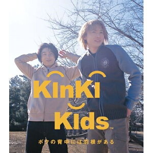 CD / KinKi Kids / ボクの背中には羽根がある / LCCN-17
