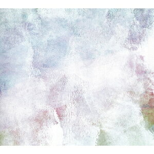 CD / back number / 新しい恋人達に (CD+DVD) (初回限定盤) / UMCK-7248