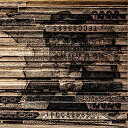 LP(25cm) / BRAHMAN feat.ILL-BOSSTINO(THA BLUE HERB) / CLUSTER BLASTER/BACK TO LIFE (限定盤) / TFJC-38043