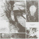 【取寄商品】CD / パク・ジハ / オール・リヴィング・シングズ / INR-33017