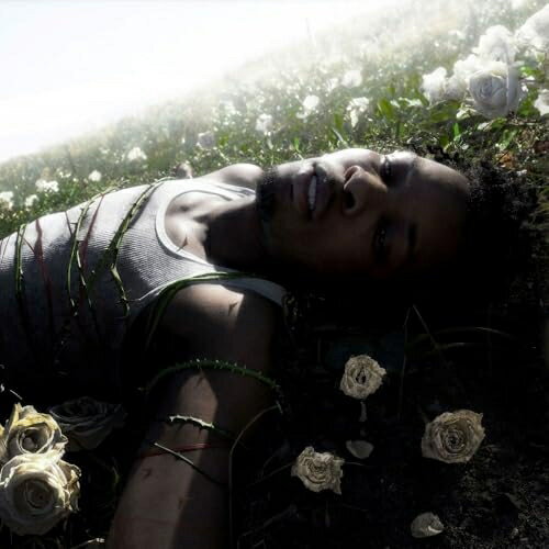 CD / d4vd / ウィザード(ジャパン・スペシャル・エディション) (歌詞対訳付/CDサイズ見開き紙ジャケット) (数量限定生産盤) / UICS-9186