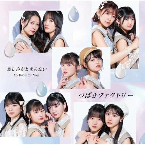 My Days for You/悲しみがとまらない (通常盤B)つばきファクトリーツバキファクトリー つばきふぁくとりー　発売日 : 2025年6月04日　種別 : CD　JAN : 4942463793357　商品番号 : EPCE-7933【商品紹介】つばきファクトリーのメジャー通算13作目となる両A面シングルリリース決定!2025年4月30日をもって卒業することを発表した八木栞のラストシングルとなります。【収録内容】CD:11.My Days for You2.悲しみがとまらない3.月夜のパ・ド・ドゥ(Additional Track)4.My Days for You(Instrumental)5.悲しみがとまらない(Instrumental)6.月夜のパ・ド・ドゥ(Instrumental)
