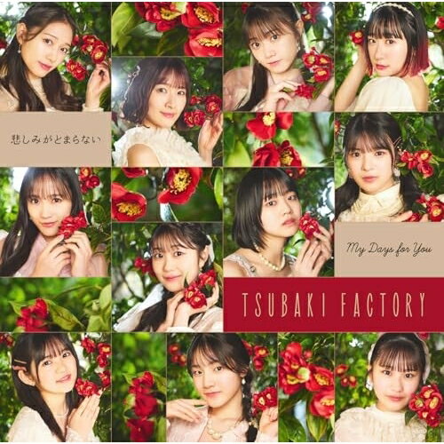 My Days for You/悲しみがとまらない (CD+Blu-ray) (初回生産限定盤SP)つばきファクトリーツバキファクトリー つばきふぁくとりー　発売日 : 2025年6月04日　種別 : CD　JAN : 4942463793050　商品番号 : EPCE-7930【商品紹介】つばきファクトリーのメジャー通算13作目となる両A面シングルリリース決定!2025年4月30日をもって卒業することを発表した八木栞のラストシングルとなります。【収録内容】CD:11.My Days for You2.悲しみがとまらない3.My Days for You(Instrumental)4.悲しみがとまらない(Instrumental)BD:21.OPENING2.初恋サンライズ3.サマー・チャレンジャー4.MC5.リゾナント ブルー6.Fiesta! Fiesta!7.Say Yeah!-もっとミラクルナイト-8.真夏の光線9.サンバ!つばきジャネイロ10.MC11.同じ時給で働く友達の美人ママ12.嵐を起こすんだ Exciting Fight!13.夏 LOVE ロマンス14.Stay free & Stay tuned15.ナインティーンの蜃気楼16.君と僕の絆17.MC18.ベイビースパイダー19.妄想だけならフリーダム20.鼓動OK?21.青春エクサバイト22.断捨ISM23.VTR24.アイドル天職音頭25.MC26.今夜だけ浮かれたかった27.帰ろう レッツゴー!28.勇気 It's my Life!(特典映像)29.ハッピークラッカー(特典映像)