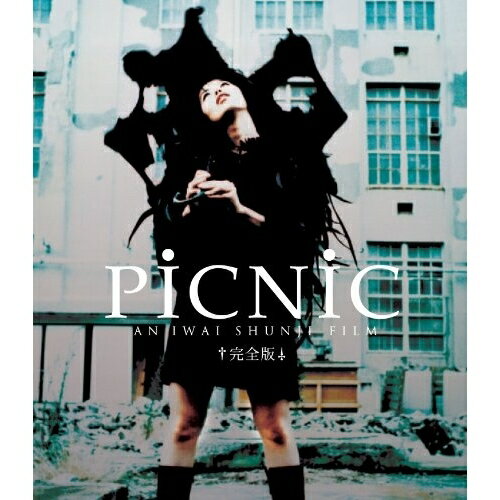 PiCNiC(完全版)(Blu-ray)邦画CHARA、ASANO TADANOBU、HASHIZUME KOICHI、IWAI SHUNJI、REMEDIOS　発売日 : 2013年3月20日　種別 : BD　JAN : 4988013219069　商品番号 : PCXG-50118
