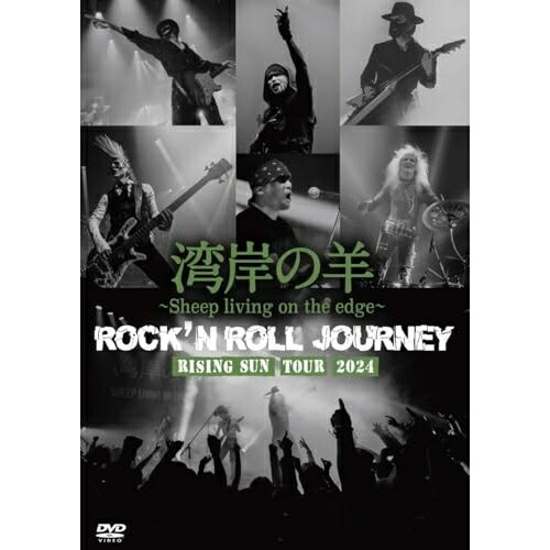 DVD / 湾岸の羊～Sheep living on the edge～ / ROCK'N ROLL JOURNEY RISING SUN TOUR 2024 / DQB-75
