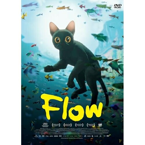 �ڼ���ʡ�DVD / �������˥� / Flow / FFEDS-981