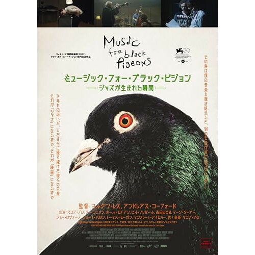 【取寄商品】DVD / Jakob Bro / ミュージック・フォー・ブラック・ピジョン --ジャズが生まれる瞬間-- / RIDV-1
