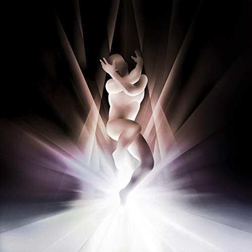 CD / スマッシング・パンプキンズ / シール (解説歌詞