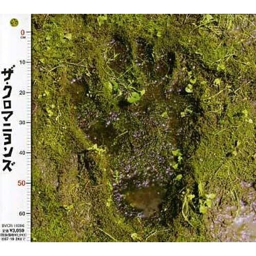 楽天市場】クロマニヨンズ リストバンドの通販