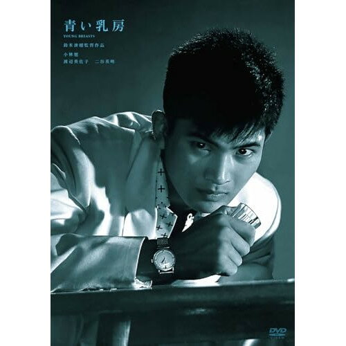 【 お取り寄せにお時間をいただく商品となります 】　・入荷まで長期お時間をいただく場合がございます。　・メーカーの在庫状況によってはお取り寄せが出来ない場合がございます。　・発送の都合上すべて揃い次第となりますので単品でのご注文をオススメいたします。　・手配前に「ご継続」か「キャンセル」のご確認を行わせていただく場合がございます。　当店からのメールを必ず受信できるようにご設定をお願いいたします。 青い乳房邦画小林旭、稲垣美穂子、渡辺美佐子、二谷英明、鈴木清順、一条明、間宮芳生、平岡精二　発売日 : 2025年12月03日　種別 : DVD　JAN : 4907953240261　商品番号 : HPBN-671