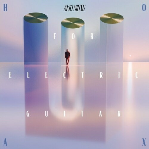 LP(30cm) / 新津章夫 / HOAX FOR ELECTRIC GUITAR / BRIDGE-424