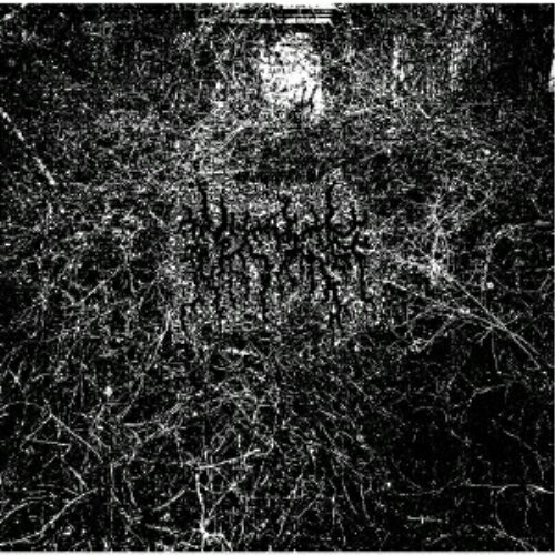 樂天商城 - 【取寄商品】CD / ARID / Harvesting the Toil of Flesh Beyond the Entombment of the Extinction That it Bore / HMP-113