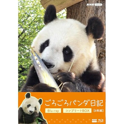 【取寄商品】BD / 趣味教養 / ごろごろパンダ日記 コンプリートBlu-ray BOX(Blu-ray) (通常版) / NSBX-54706[3/27]発売