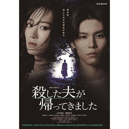 【取寄商品】DVD / 国内TVドラマ / 連続ドラマW-30 殺した夫が帰ってきました DVD-BOX / TCED-8439[4/03]発売