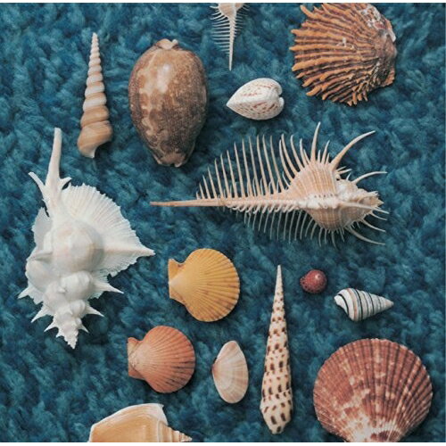 CD / Spitz / CYCLE HIT 1991��1997 Spitz Complete Single Collection / UPCH-2129