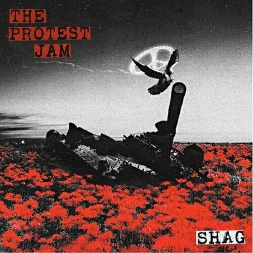 LP(30cm) / SHAG / THE PROTEST JAM (解説歌詞付/ライナーノーツ/180g重量盤) (生産限定盤) / LHMV-2008