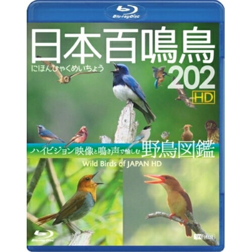 BD / 趣味教養 / 日本百鳴鳥 202 HD ハイビジョン映像と鳴き声で愉しむ野鳥図鑑 Wild Birds of Japan HD(Blu-ray) / RDA-16