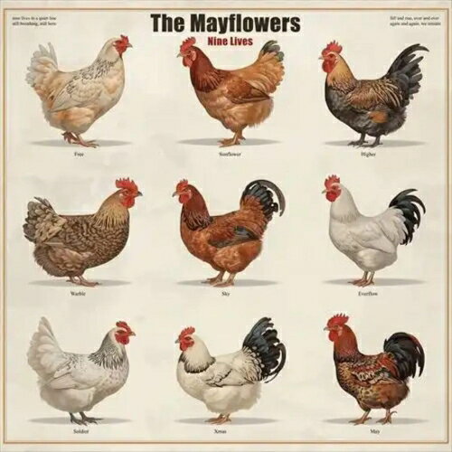 CD / The Mayflowers / Nine Lives / ROCP-9X