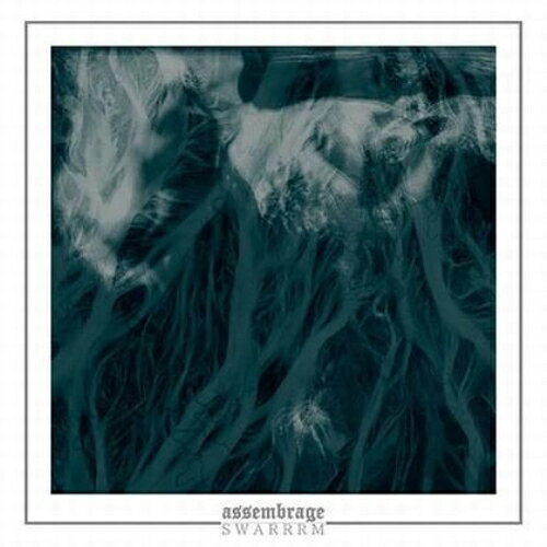 EP / assembrage/SWARRRM / Split / BTR-89