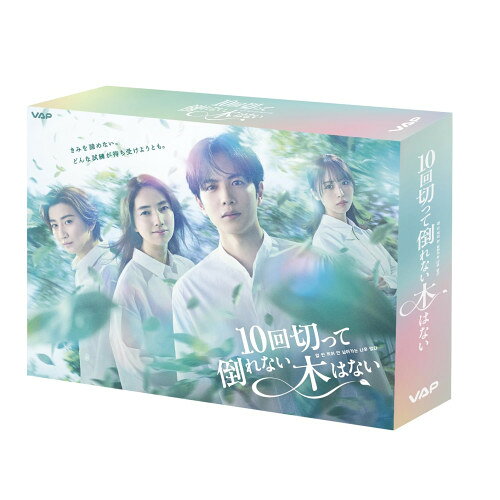 ▼DVD / 国内TVドラマ / 10回切って倒れない木はない DVD BOX (本編ディスク3枚+特...