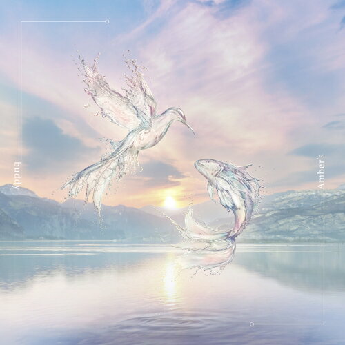 CD / Amber's / buddy (通常盤) / ESCL-5758