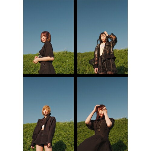 CD / Youplus / 流星群 (2CD+DVD) (完全生産限定盤/特装盤) / SCYP-20