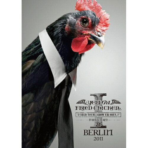 DVD / YELLOW FRIED CHICKENz / WORLD TOUR *SHOW UR SOUL.I* 世壊傷結愛魂祭 at BERLIN 2011 / YIBQ-10231