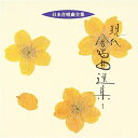 CD / オムニバス / 現代合唱曲選集1 / VZCC-48