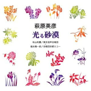 CD / 秋山和慶/福永陽一郎 / 萩原英彦:光る砂漠 / VZCC-69