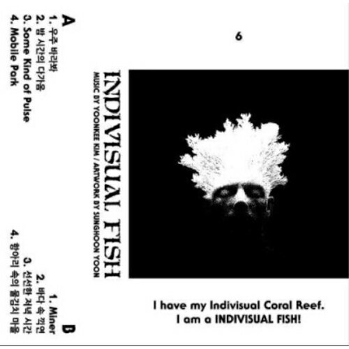 【取寄商品】カセット / ユンキー・キム&ソンフン・ユン / インディヴィジュアル・フィッシュ / 4988044829251