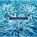 CD / デヴィッド・フリードマン / ウィンター・ラヴ、エイプリル・ジョイ (完全限定盤) / UCCJ-9149